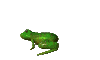 animated frog from fg-a.gif (8233 bytes)