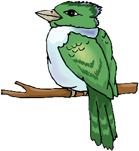 picture of bird