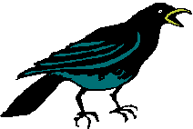 picture of crow