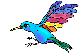 image hummingbird