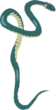 picture of snake