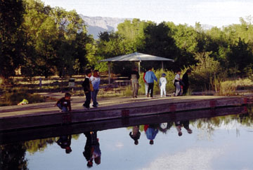 Kids studying the Discovery Pond